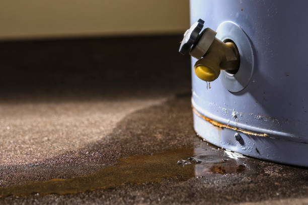 Best Water damage restoration near me  in Lovington, IL