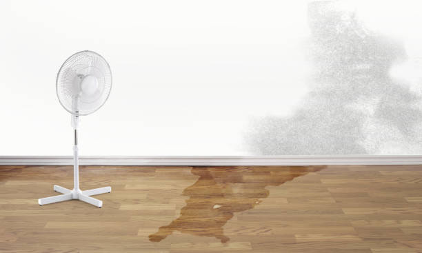 Best Water damage restoration insurance claims  in Lovington, IL