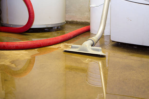 Best Basement water damage restoration  in Lovington, IL