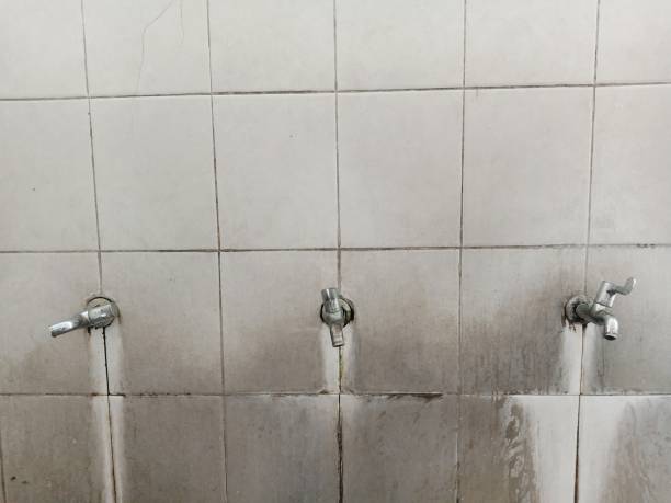 Best Professional water damage repair  in Lovington, IL