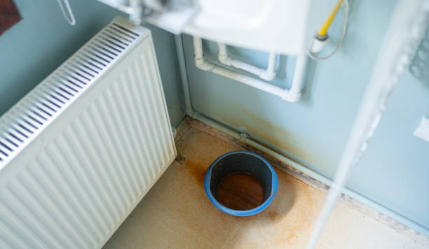 Best Water damage restoration services  in Lovington, IL
